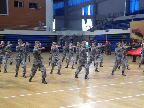 沈阳炮兵学院学生军体拳