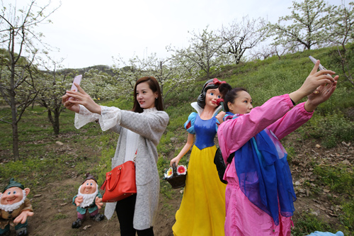 7万游客涌入梨花谷　赴约辽东“最美的春天”