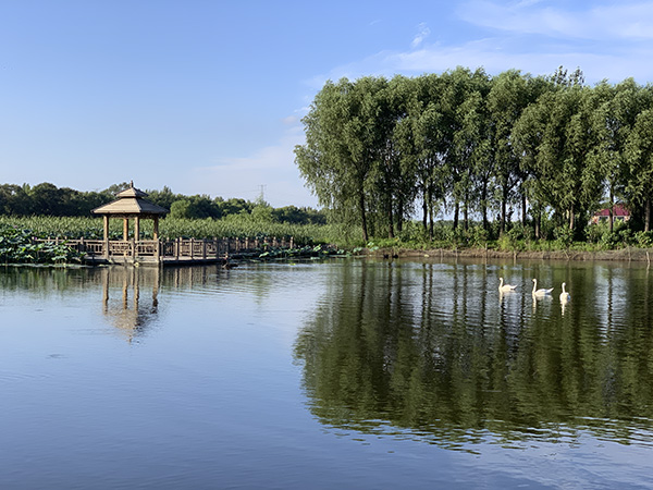 铁岭莲花湖湿地公园.邱宇哲 摄