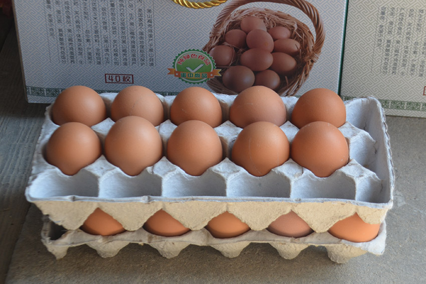 錦州黑山褐殼雞蛋：健康養殖的營養蛋【3】