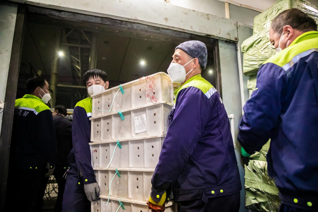 馳援吉林 遼寧已發運防疫物資918件、蔬菜1.5噸、熟食3.6噸