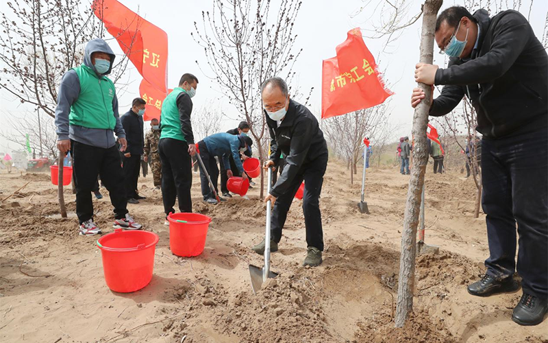 辽宁省总工会组织党员干部开展“辽宁工会林”植树活动