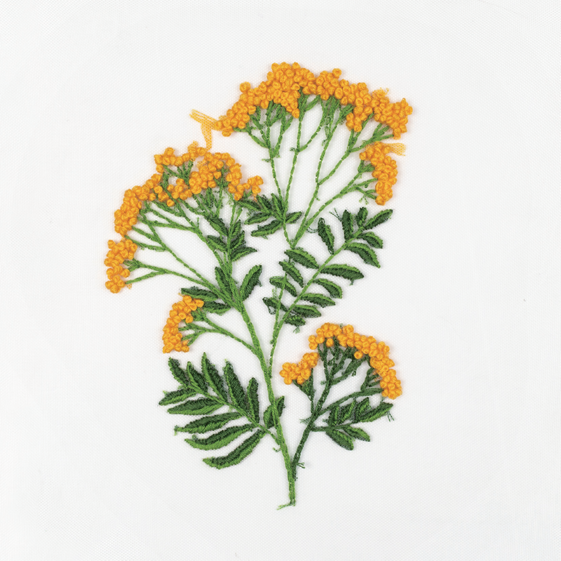 孔爱萍（听力） ·刺绣 《花卉》 ·皇姑区残联