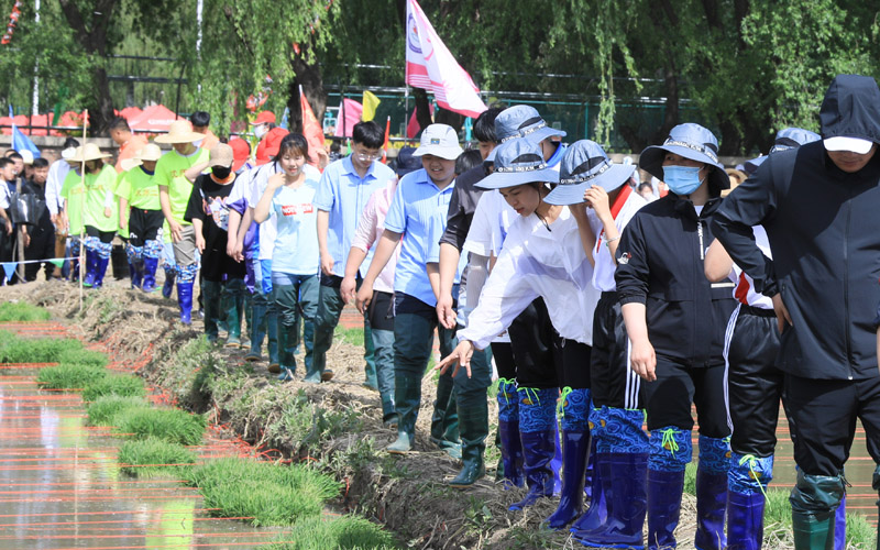 沈阳市于洪区亲子插秧节：体验农耕 探索自然【6】