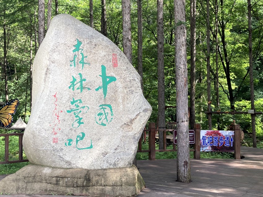 楓林谷。人民網記者 孝媛攝