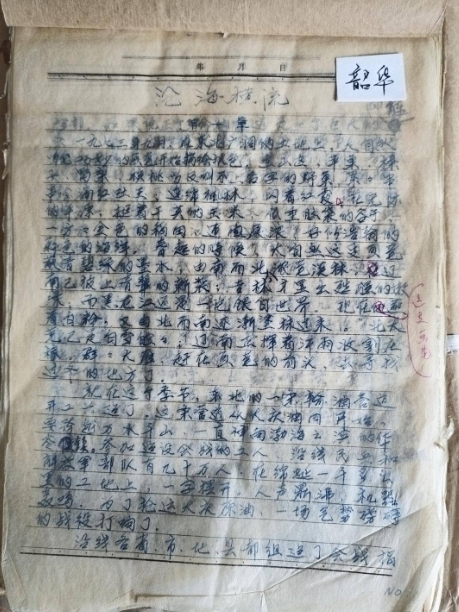 韶华《沧海横流》手稿