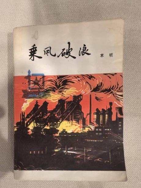《乘风破浪》书封