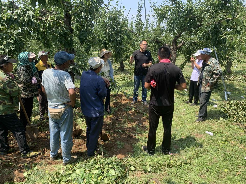 專家（后排中）在現場示范果樹定向施肥技術。鞍山市鐵東區果樹科技特派團供圖