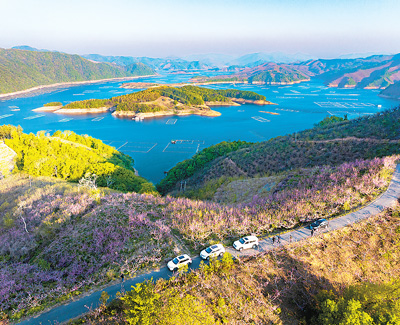 G228辽宁丹东段，自驾车辆停靠在路边，不远处是美丽的海景。 邹晓龙摄