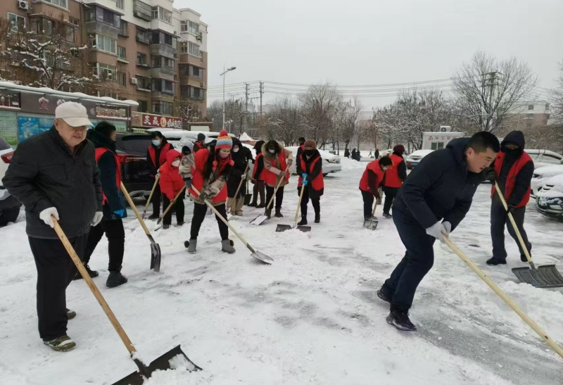 以雪为令 抚顺市打响全城动员清雪保畅“大会战”【4】