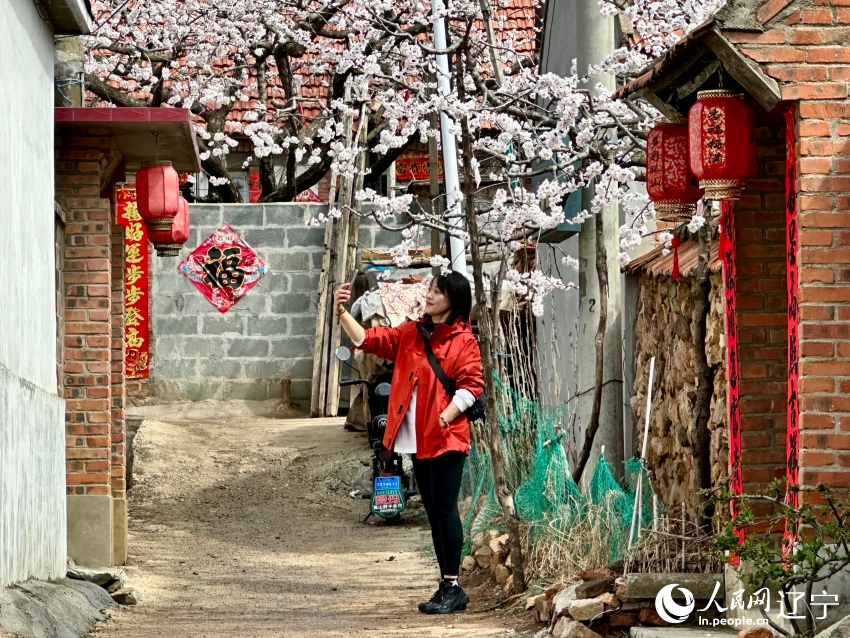 辽东春信至，漫山花海惹人醉。人民网记者 尹柏寒摄