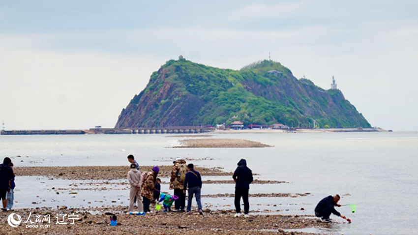 行进中国丨锦州：笔架奇峰连山海 生态修复焕新颜【2】