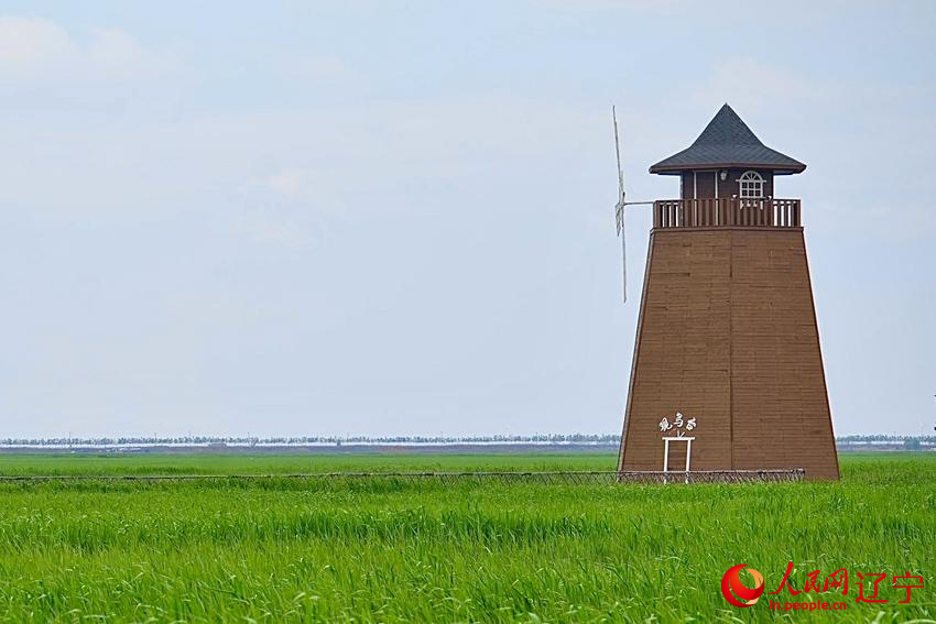 行進中國 | 錦州：大凌河口百鳥飛【4】