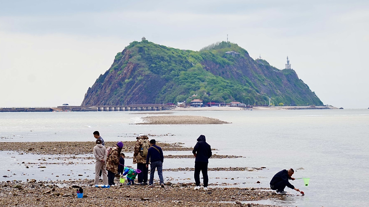 游客在锦州笔架山体验赶海的乐趣