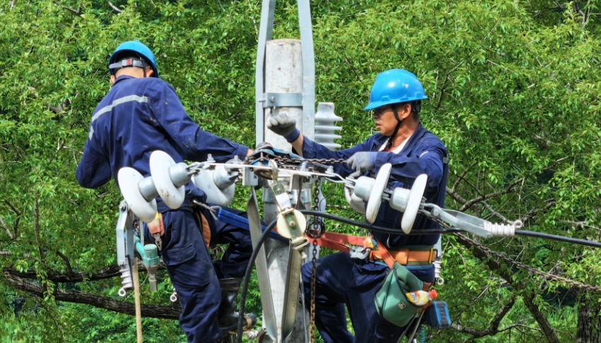 7月22日，国网丹东供电公司抢修人员在10千伏焦家堡线大虎村分27号抢修受损线路。