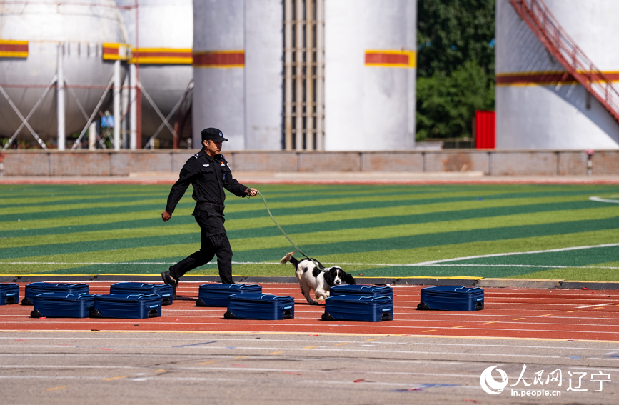 实战技能大比武综合演练现场。人民网记者 邱宇哲摄