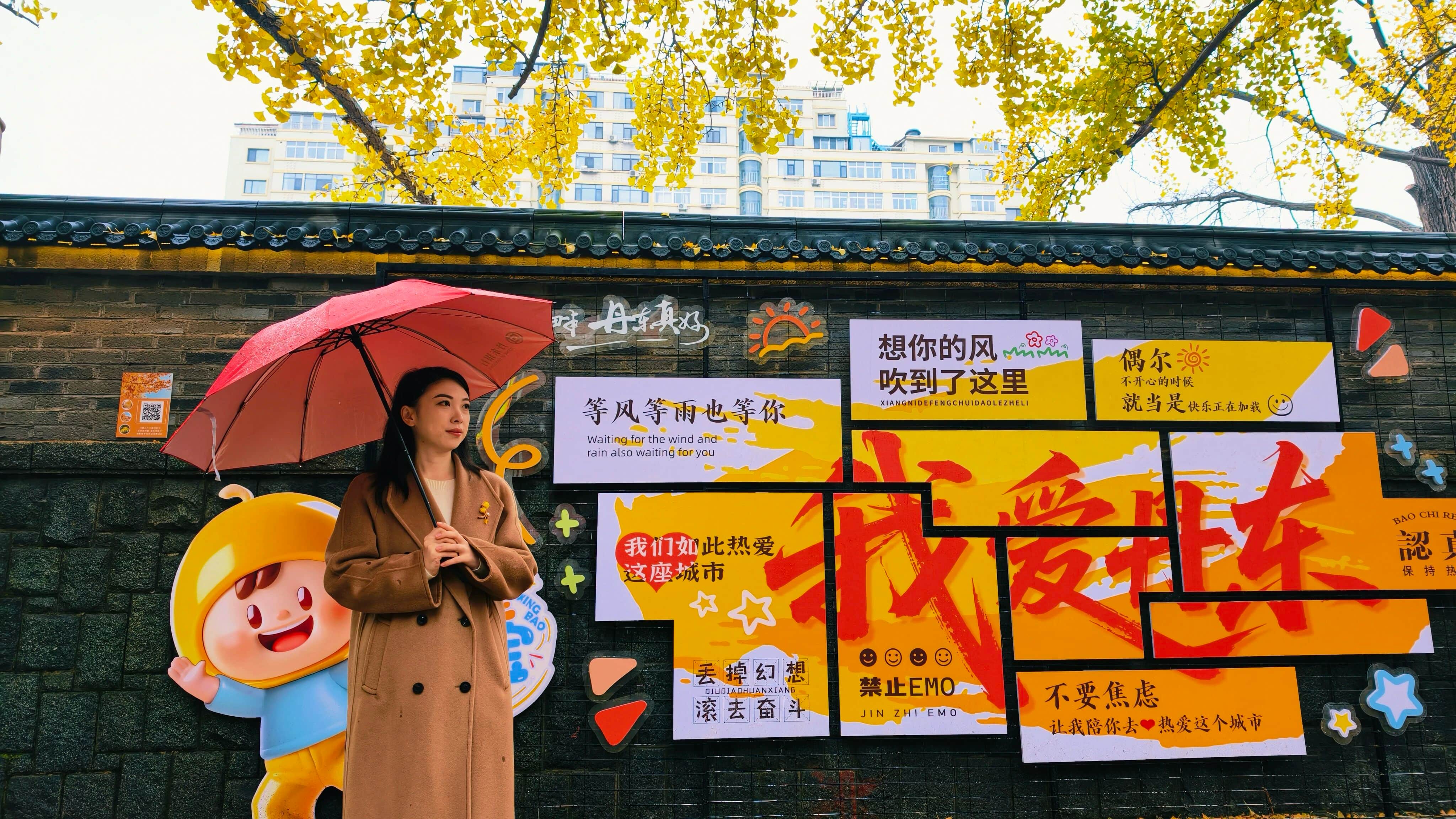 丹东:百年银杏正当时【2】