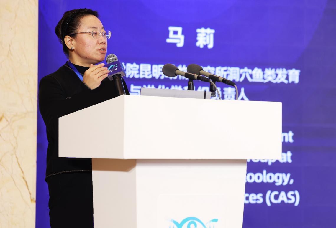 中国科学院昆明动物研究所洞穴鱼类发育与进化学科组负责人马莉分享洞穴鱼类是人类眼科疾病研究的天然模型