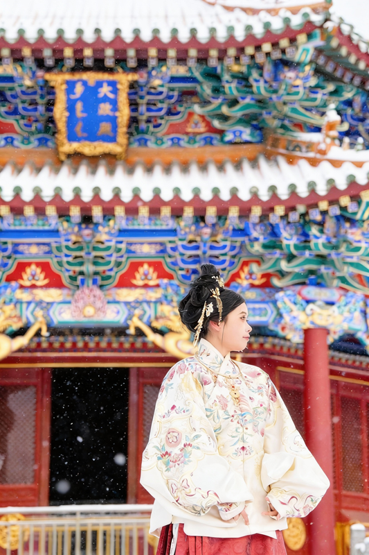 沈阳故宫：红墙映雪【6】