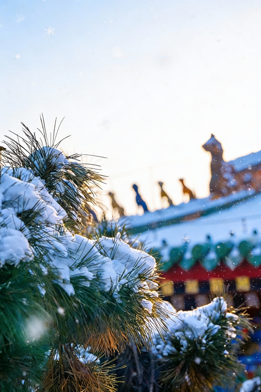 沈阳故宫：红墙映雪【7】