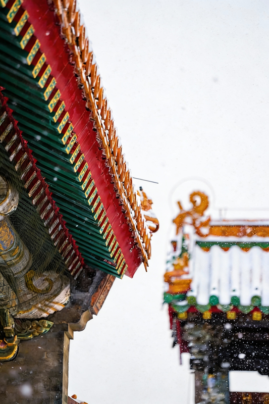 沈阳故宫：红墙映雪【8】