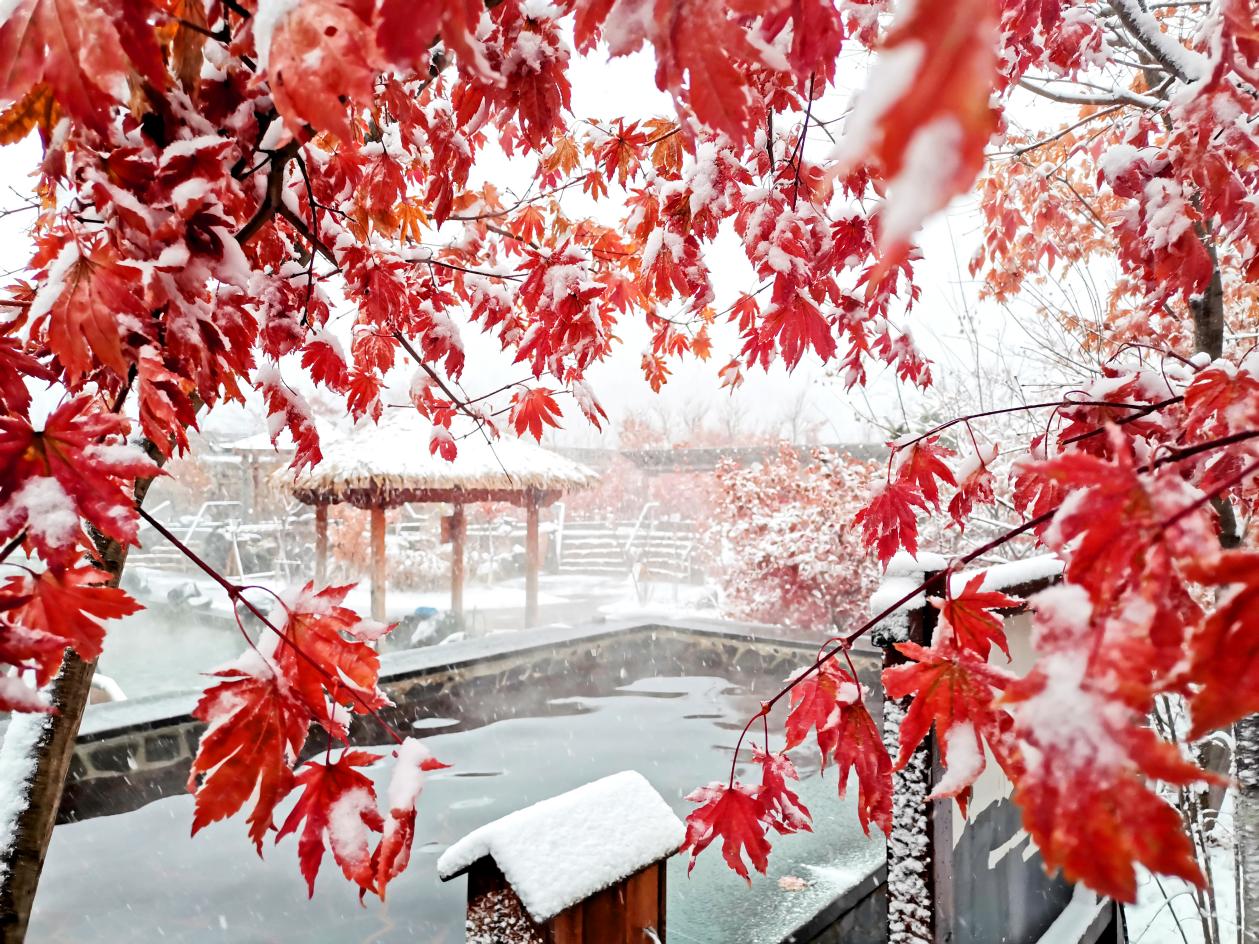 组图:花溪沐枫雪温泉度假区解锁马年新春文旅新体验【3】