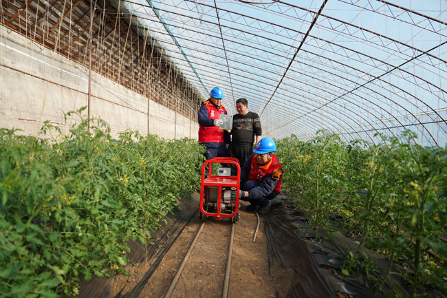 王健和李超为农户讲解用电常识。白音娜摄
