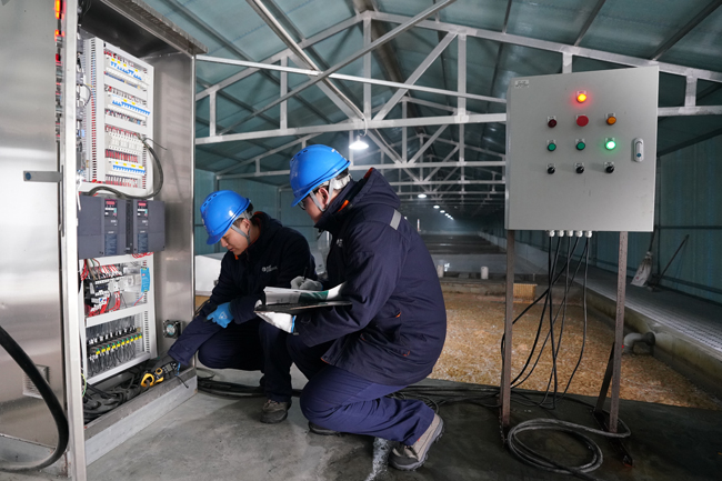 趙博文和於皓對循環水泵、恆溫系統等用電設備進行巡檢。人民網記者 孝媛攝