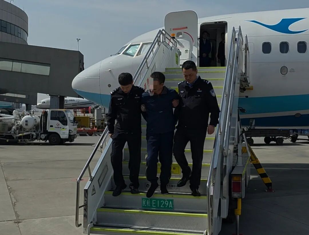 3月25日,涉嫌騙取貸款罪的嫌疑人張某被押解回國。遼寧省公安廳供圖