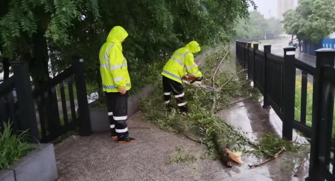 防汛人员冒雨清理倒伏树木,及时清障保道路畅通