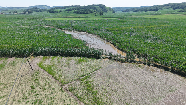 DJI_20260716100919_0455_D