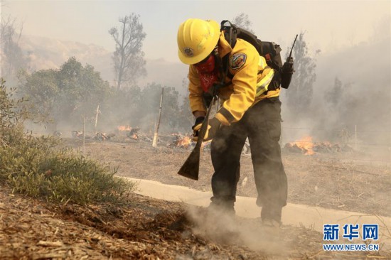（國際）（1）美國加州南部野火導致數萬居民被迫撤離